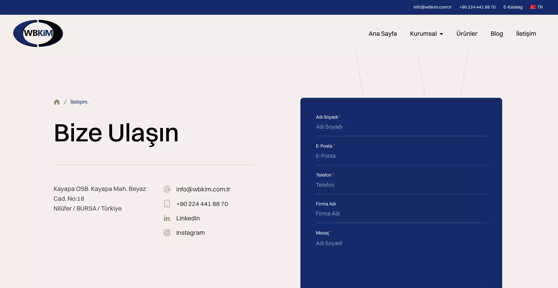 Bursa WBKim Web Site Tasarımı